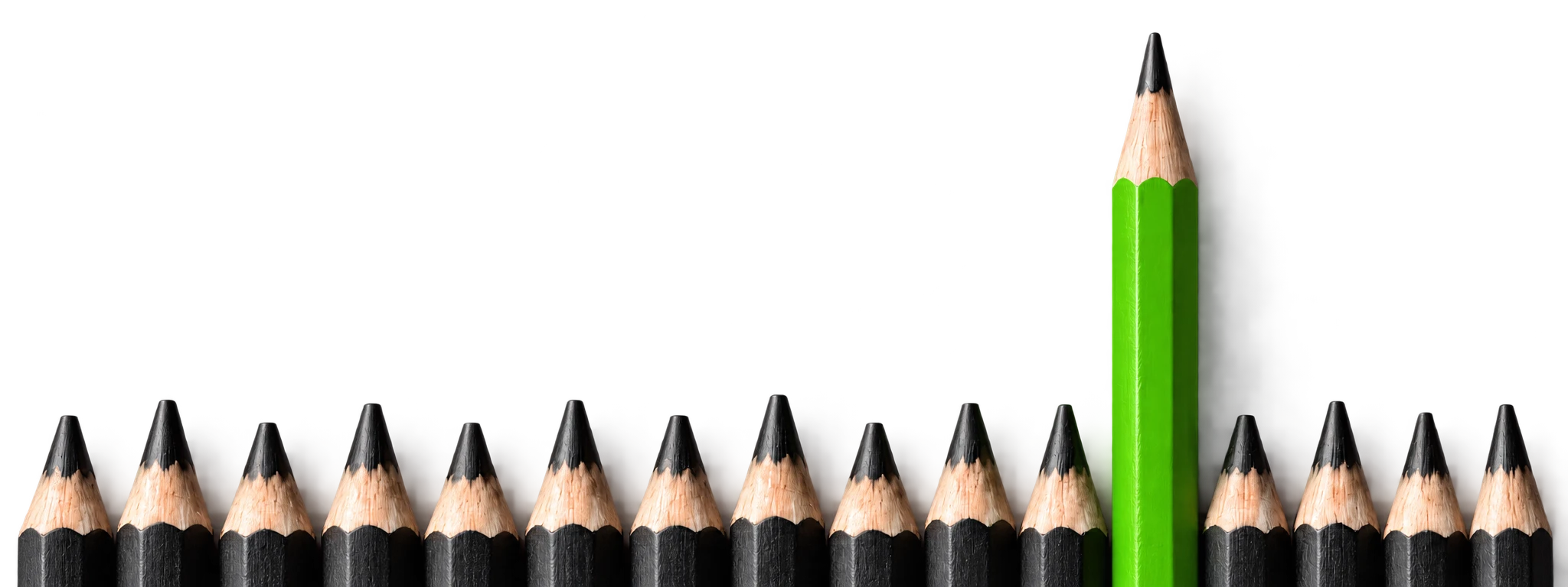 A bright green pencil standing taller than a row of charcoal pencils
